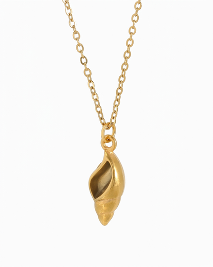Golden Conch Shell